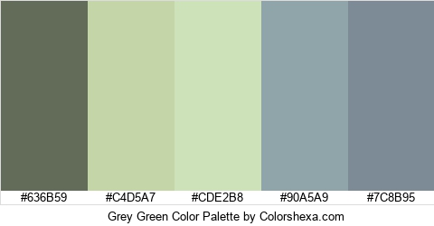 Grey Green Color Colors Logo