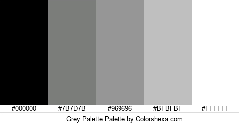 Grey Palette Colors Logo