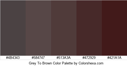 Grey To Brown Color Colors Logo