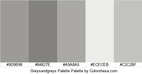 Greysandgreys Palette Colors Logo