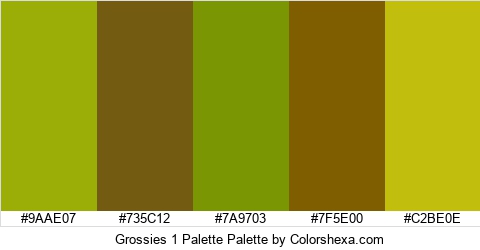 Grossies 1 Palette Colors Logo