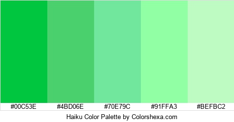 Haiku Color Colors Logo