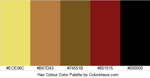 Hair Colour Color Colors Logo
