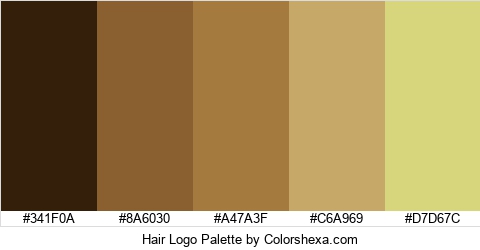 Hair Logo Colors Logo