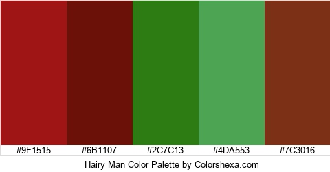 Hairy Man Color Colors Logo