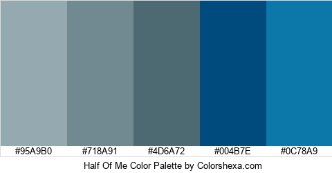Half Of Me Color Colors Logo