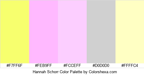 Hannah Schorr Color Colors Logo