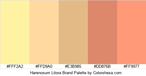 Harenosum Litora Brand Colors Logo