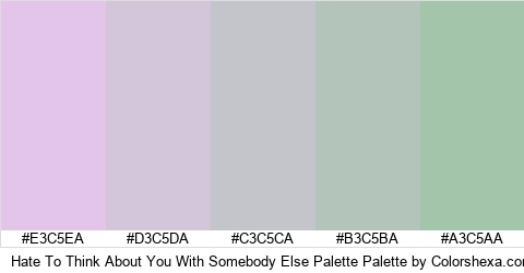 Hate To Think About You With Somebody Else Palette Colors Logo