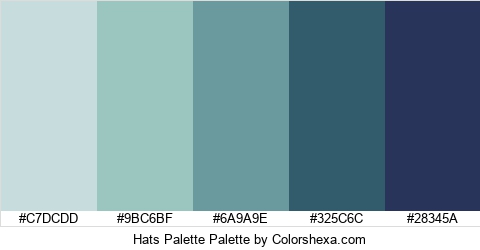Hats Palette Colors Logo