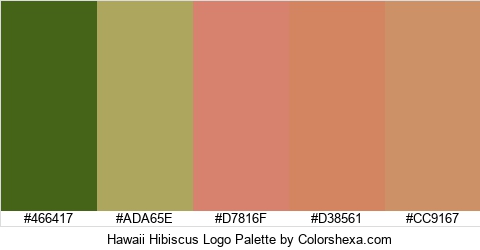 Hawaii Hibiscus Logo Colors Logo