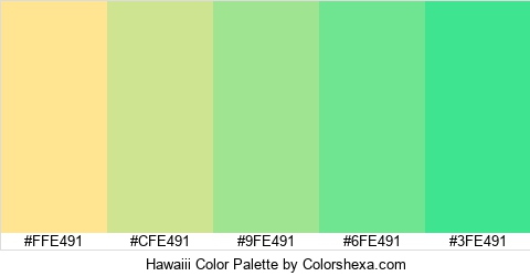 Hawaiii Color Colors Logo