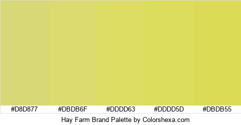 Hay Farm Brand Colors Logo