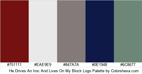 He Drives An Iroc And Lives On My Block Logo Colors Logo