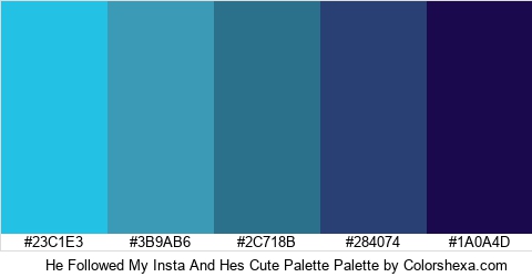 He Followed My Insta And Hes Cute Palette Colors Logo