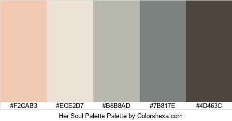 Her Soul Palette Colors Logo
