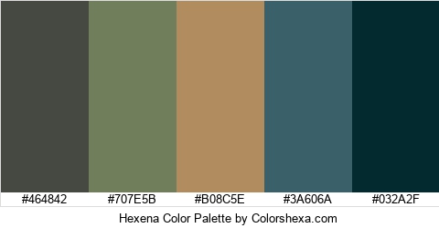 Hexena Color Colors Logo