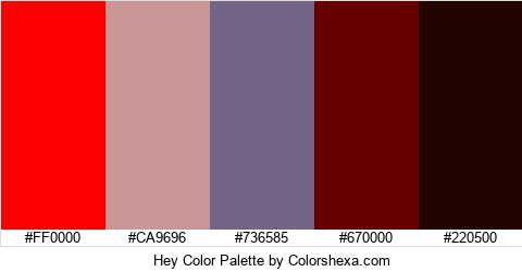 Hey Color Colors Logo