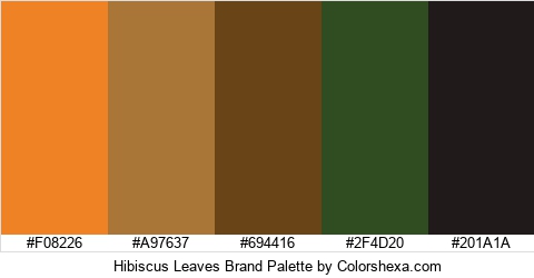 Hibiscus Leaves Brand Colors Logo