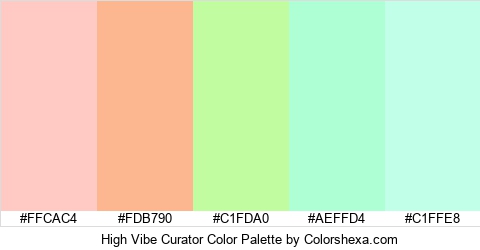 High Vibe Curator Color Colors Logo