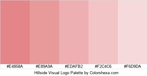 Hillside Visual Logo Colors Logo