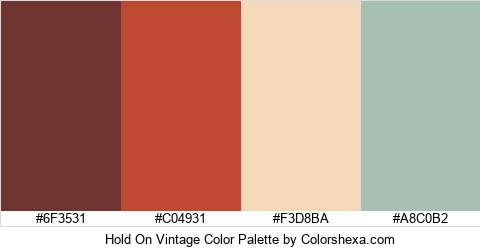 Hold On Vintage Color Colors Logo