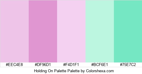 Holding On Palette Colors Logo