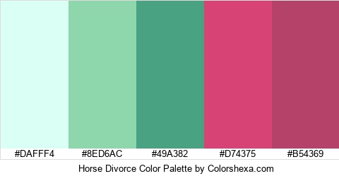 Horse Divorce Color Colors Logo