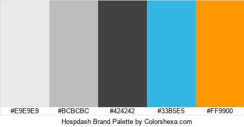 Hospdash Brand Colors Logo