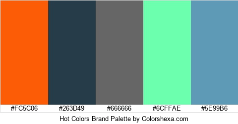 Hot Colors Brand Colors Logo