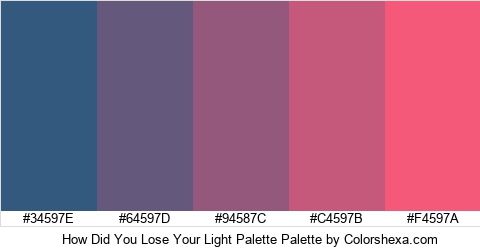 How Did You Lose Your Light Palette Colors Logo
