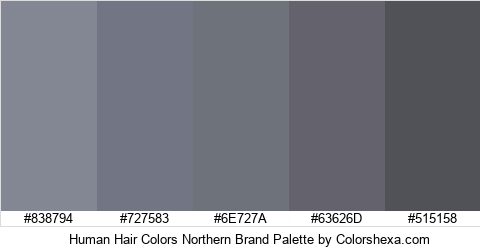 Human Hair Colors Northern Brand Colors Logo