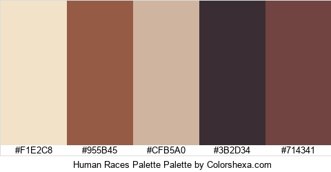 Human Races Palette Colors Logo