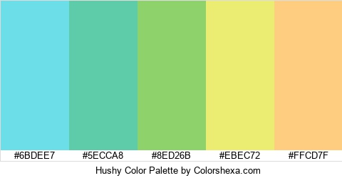 Hushy Color Colors Logo