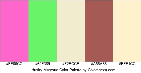 Husky Marysue Color Colors Logo