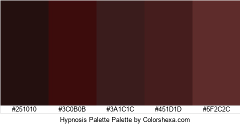 Hypnosis Palette Colors Logo