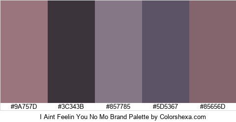 I Aint Feelin You No Mo Brand Colors Logo