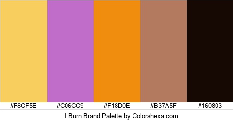 I Burn Brand Colors Logo
