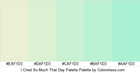 I Cried So Much That Day Palette Colors Logo