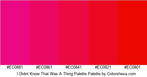 I Didnt Know That Was A Thing Palette Colors Logo