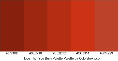 I Hope That You Burn Palette Colors Logo