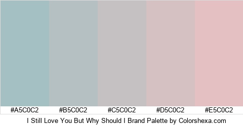 I Still Love You But Why Should I Brand Colors Logo