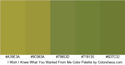 I Wish I Knew What You Wanted From Me Color Colors Logo