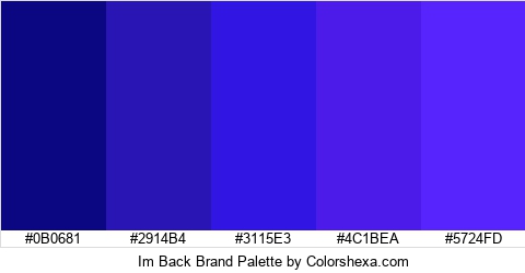 Im Back Brand Colors Logo