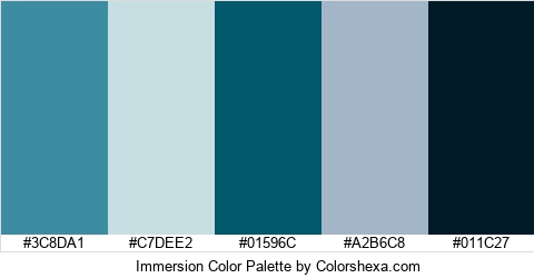 Immersion Color Colors Logo
