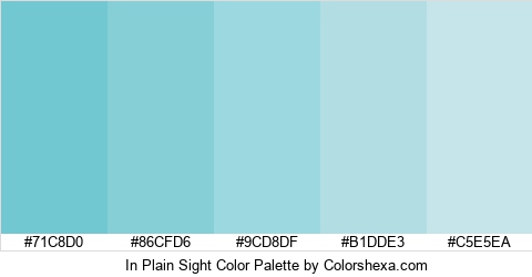 In Plain Sight Color Colors Logo