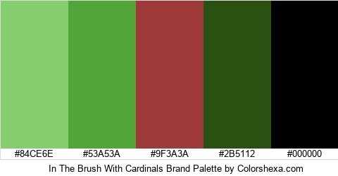 In The Brush With Cardinals Brand Colors Logo