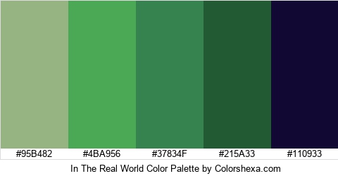 In The Real World Color Colors Logo