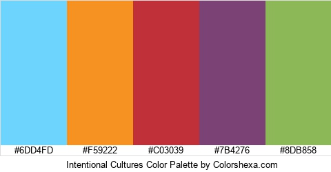 Intentional Cultures Color Colors Logo