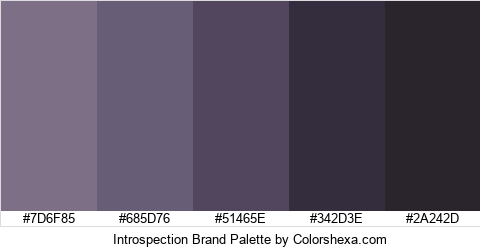 Introspection Brand Colors Logo
